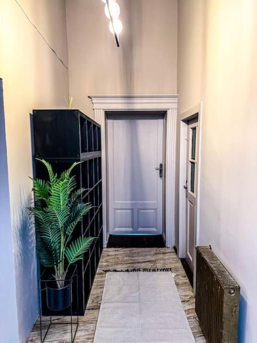Apartamento Cozy & Charming Apt. Downtown Timisoara Exterior foto